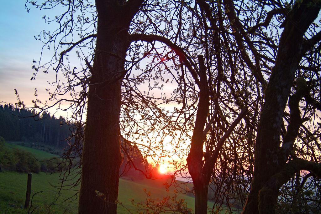 Kaisers Ferienhof Hallenberg Buitenkant foto